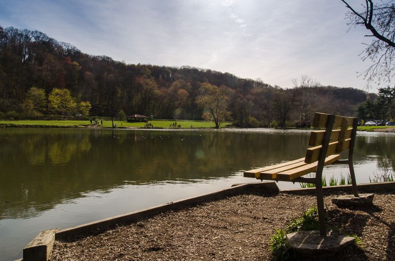 A wooden bench on the shore of a calm lake ringed by early-spring trees