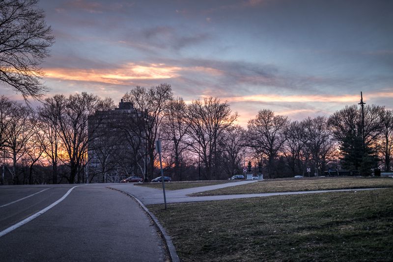 A park road curving past bare winter trees under a pink and orange sunset