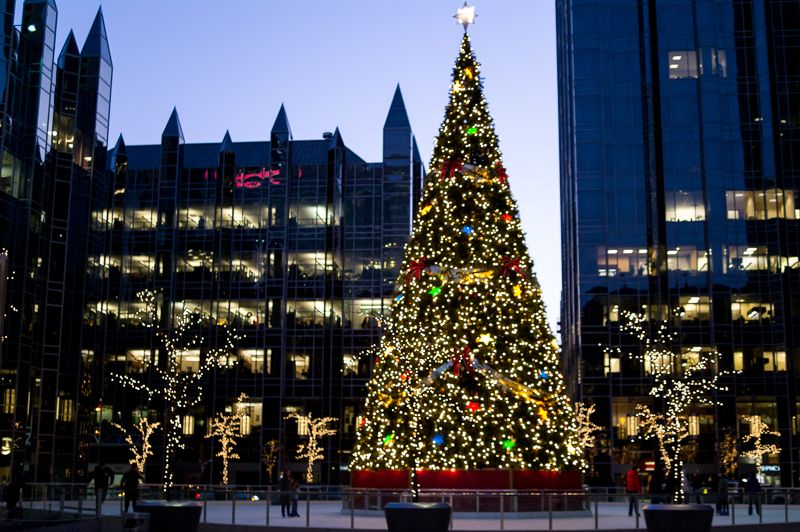 A towering lit Christmas tree in a plaza between glass Gothic-style office towers at dusk